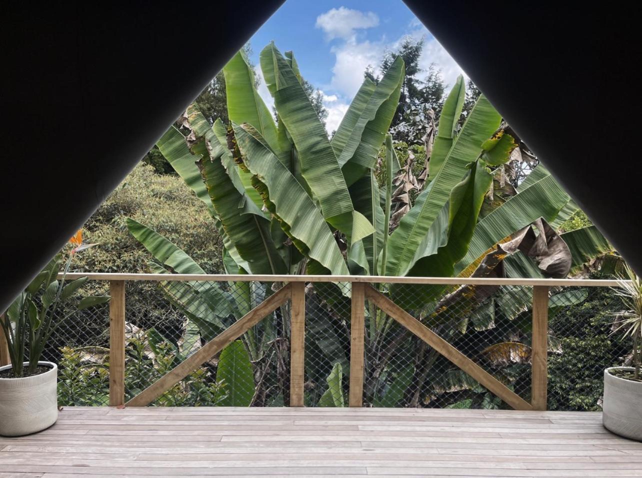 Отель Teva Glamping & Retreat Рионегро Номер фото